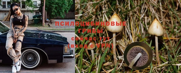 прущая мука Алексин