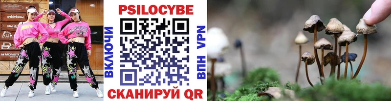 наркота Феодосия Галлюциногенные грибы прущие грибы