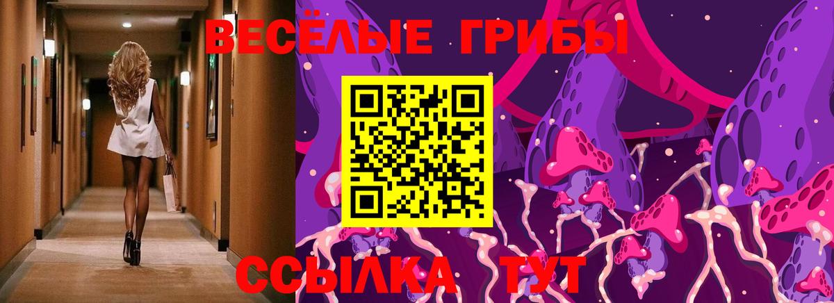 Галлюциногенные грибы прущие грибы Феодосия